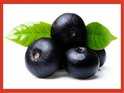 Bayas de acai