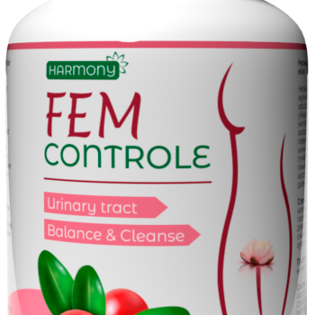 Fem Controle