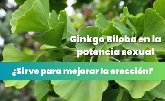Ginkgo Biloba en la potencia sexual