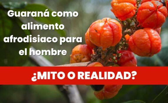 Guaraná como alimento afrodisiaco
