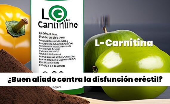 L-Carnitina para la erección