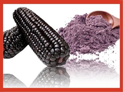 Maiz Morado