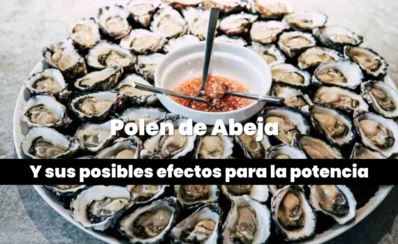 Ostiones para la erección