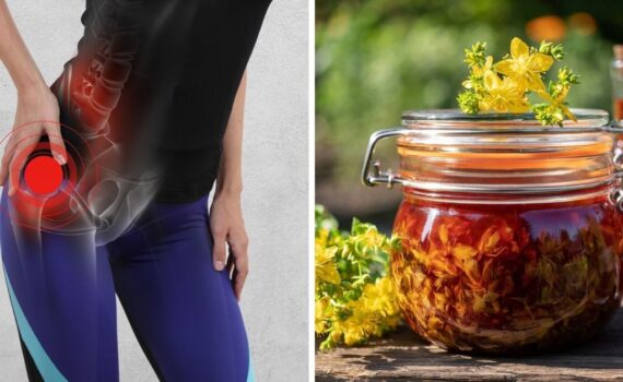 Plantas medicinales para el dolor muscular