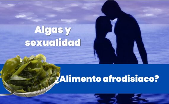 alimentos afrodisiacos algas