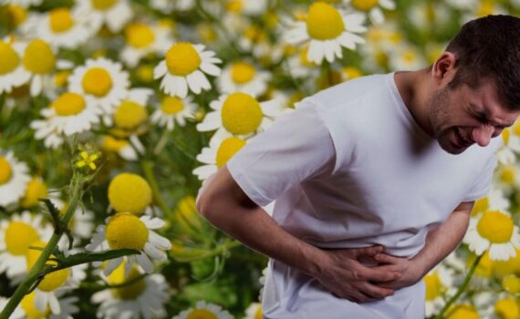 beneficios de la manzanilla