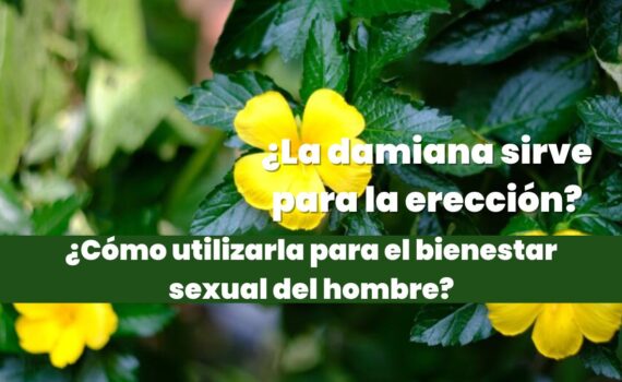 damiana sirve para la erección
