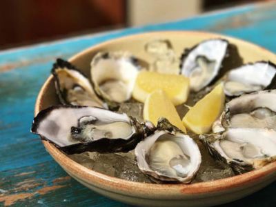 desventajas de las ostras para el hombre