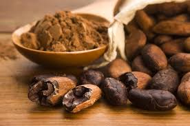 propiedades nutricionales del cacao